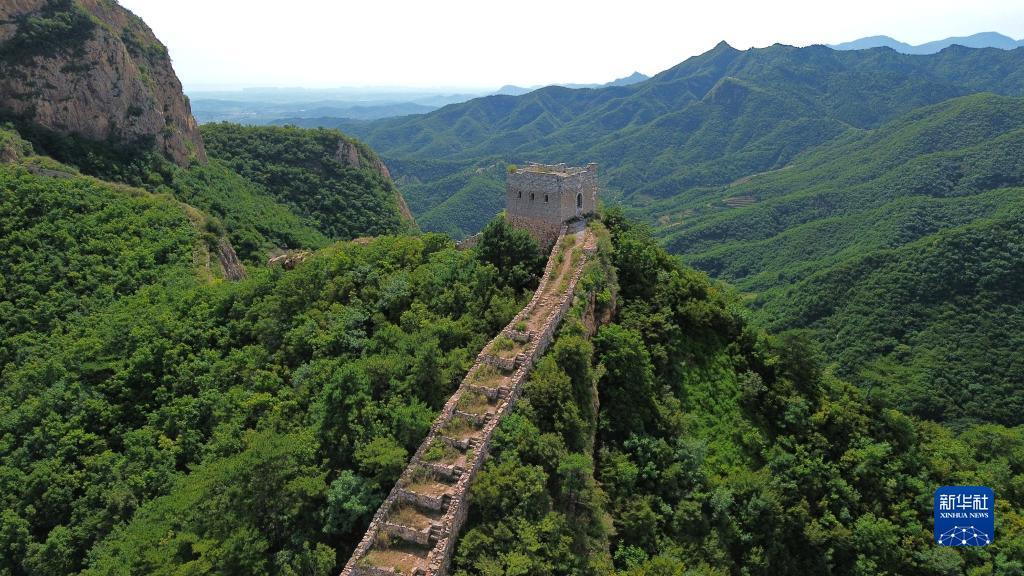 赢现金的游戏